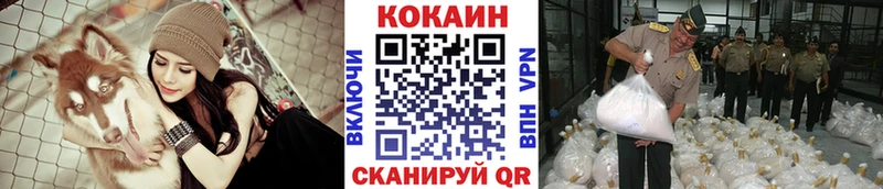 где продают   Малмыж  Кокаин Fish Scale 