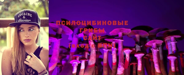 дурь Балахна
