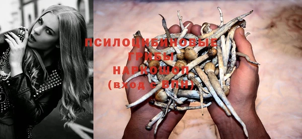 дурь Балахна