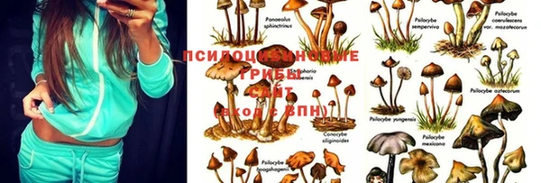 прущая мука Балабаново